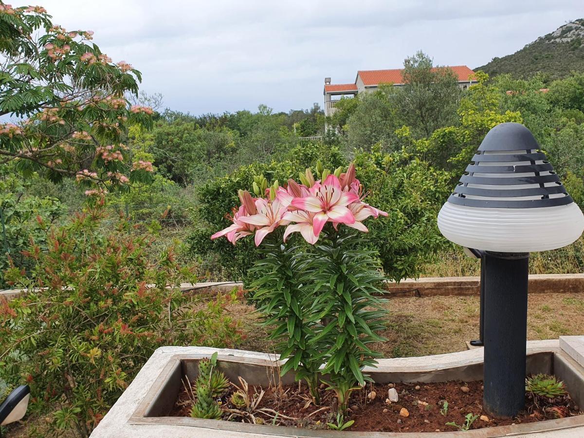 Holiday House "Lea" Lukoran ภายนอก รูปภาพ